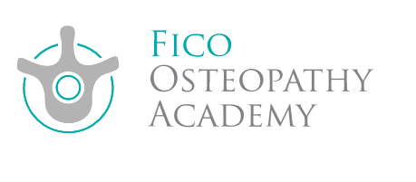 FICO Logo