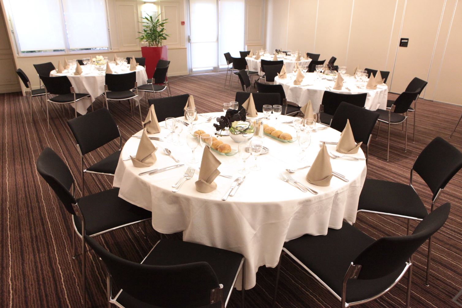 Lunch or dinner small