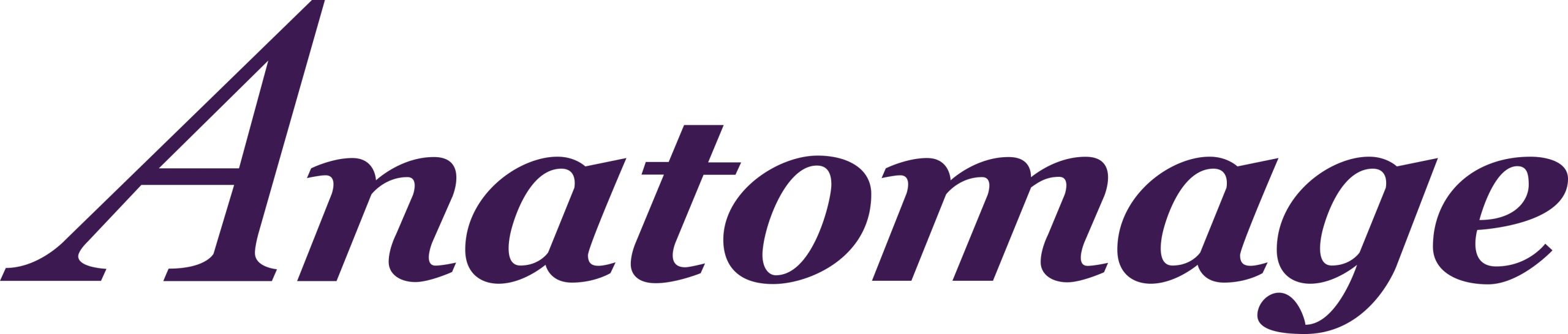 Anatomage Logo