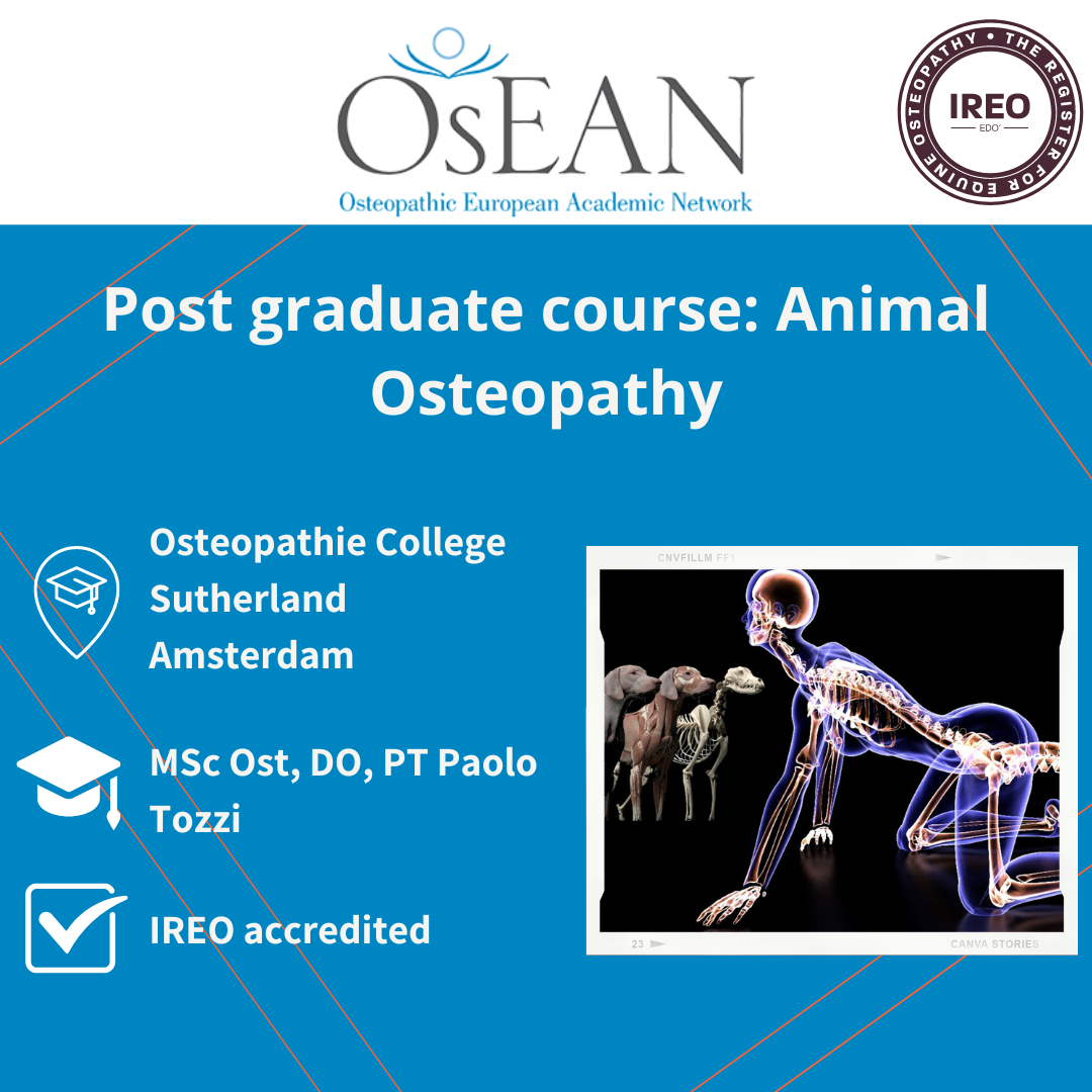 Instagram CS Amsterdam Animal Osteopathy