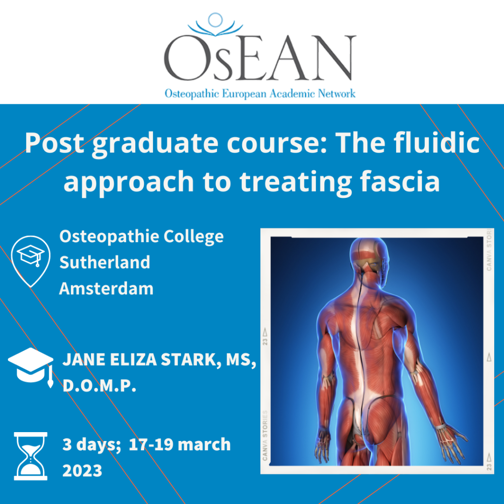 Instagram CS Amsterdam the fluidic approach