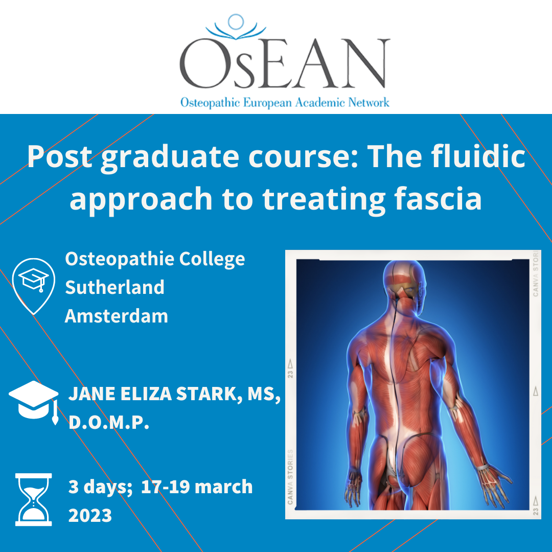 Instagram CS Amsterdam the fluidic approach